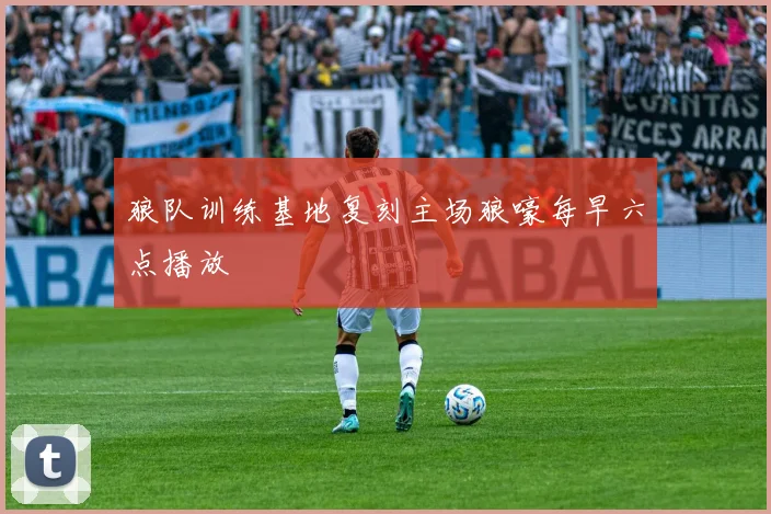 狼队训练基地复刻主场狼嚎每早六点播放