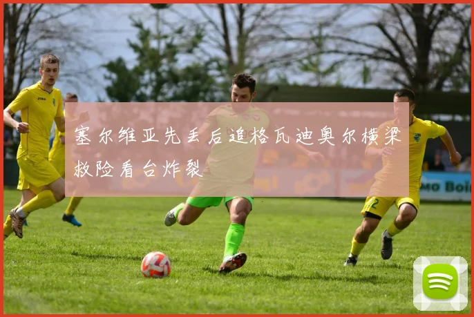 塞尔维亚先丢后追格瓦迪奥尔横梁救险看台炸裂