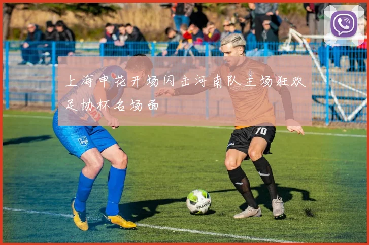 上海申花开场闪击河南队主场狂欢足协杯名场面