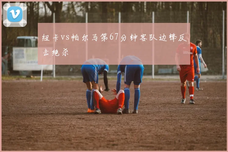 纽卡vs帕尔马第67分钟客队边锋反击绝杀