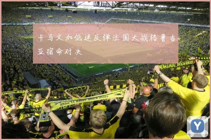 卡马文加低迷反弹法国大战格鲁吉亚宿命对决