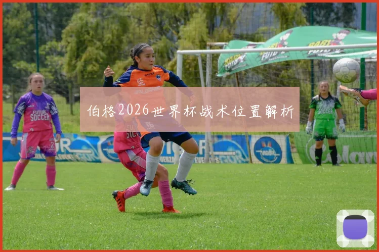 伯格2026世界杯战术位置解析